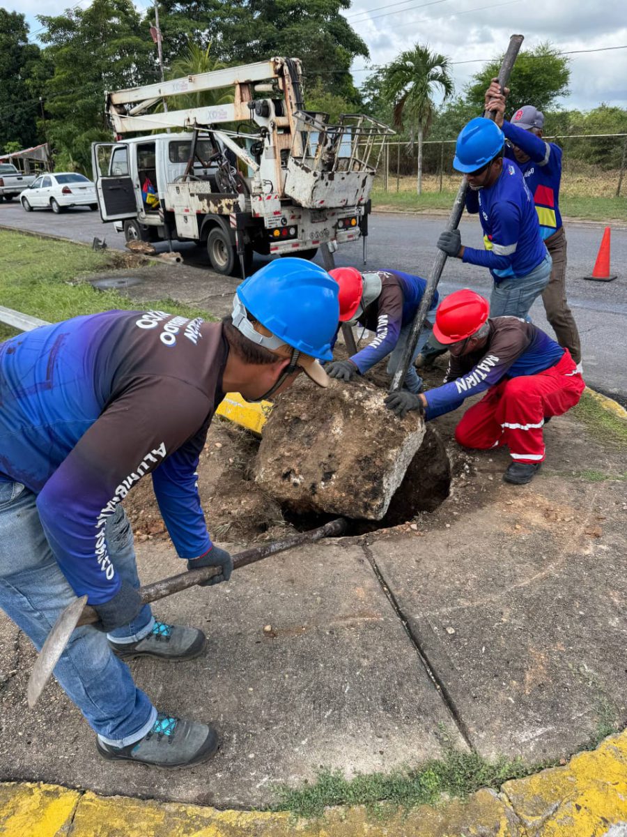 Reparan alumbrado público en la avenida Cruz Peraza 3 alumbrado3