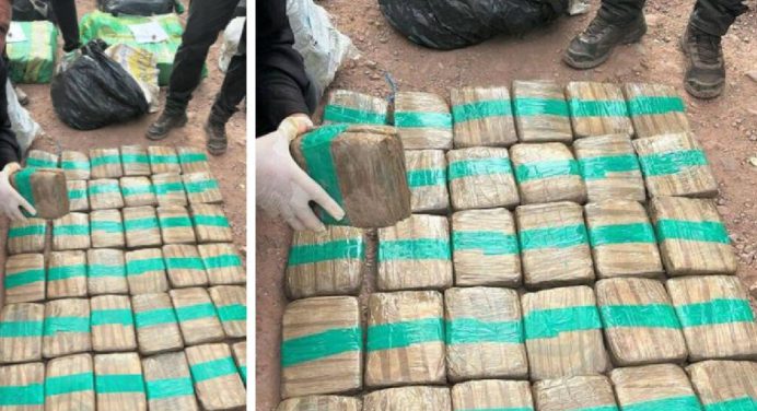 Cicpc incauta más de 500 kilos de droga en el estado Táchira