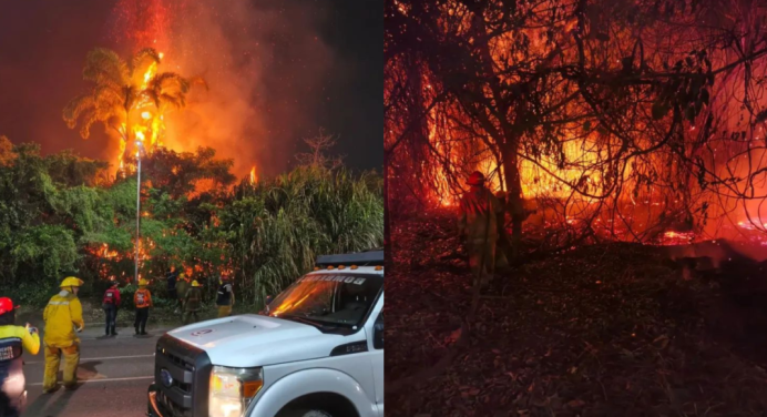 Autoridades de Anzoátegui controlaron incendio en el parque José Tadeo Arreaza