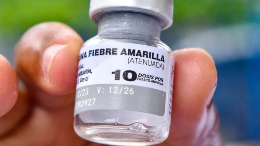 fiebre amarilla