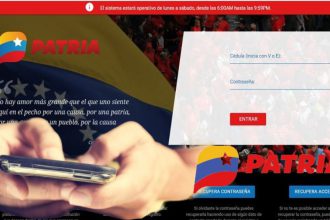 Consulta y revisa en PATRIA