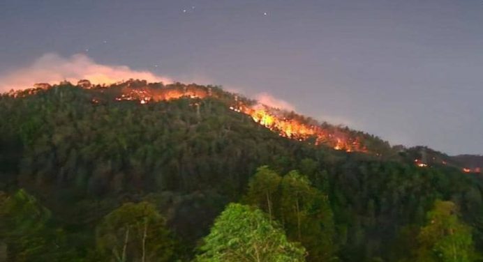 Bomberos forestales siguen combatiendo el incendio en el Embalse La Mariposa