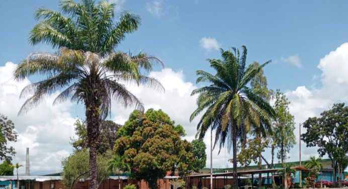 Universidad Ludovico Silva inicia este lunes inscripciones para diplomado en turbomáquinas