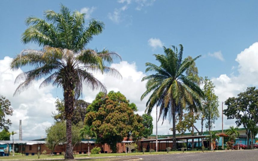 Universidad Ludovico Silva inicia este lunes inscripciones para diplomado en turbomáquinas 1 Ludovico Silva