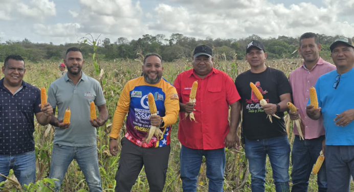Cedeño fortalece la soberanía agroalimentaria con producción de semillas