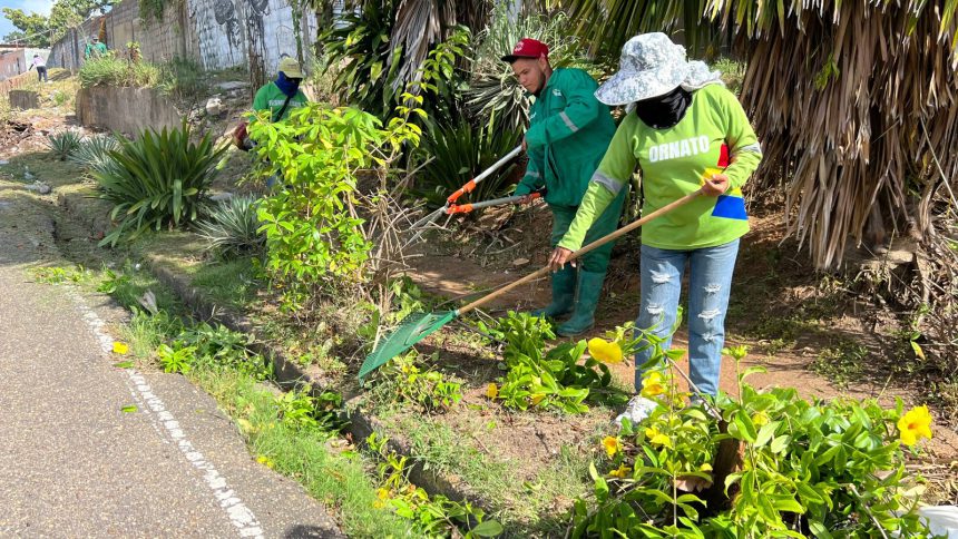 Alcaldía invierte en transformación de los espacios naturales del municipio 1 naturales