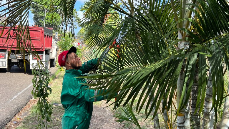 Alcaldía invierte en transformación de los espacios naturales del municipio 2 ornato2
