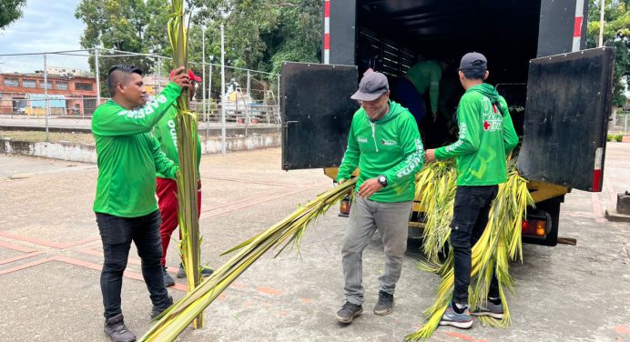 Alcaldía de Maturín entregó 2.400 palmas para celebrar el Domingo de Ramos