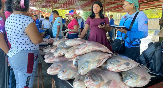 Megaferia de pescado favorece a familias del municipio Sotillo