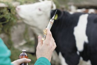 libre de fiebre aftosa