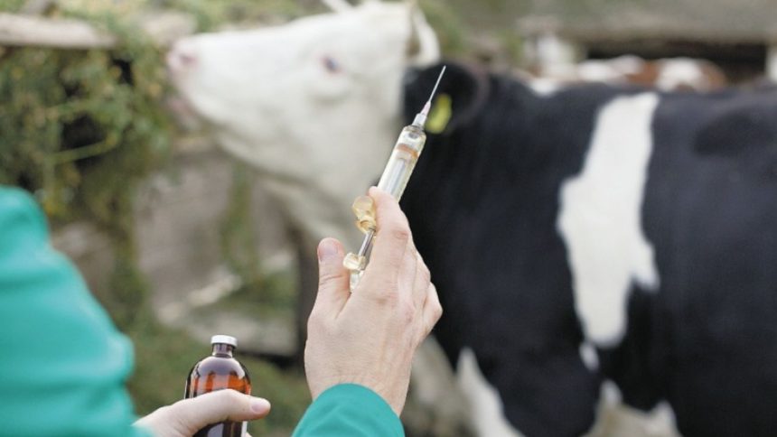 libre de fiebre aftosa