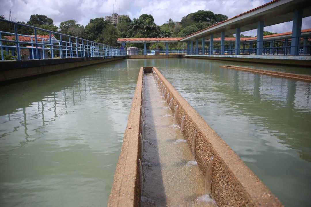 planta bajo guarapiche2