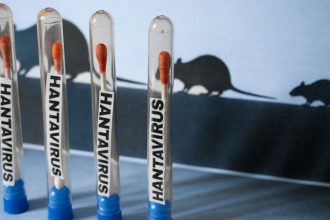 Hantavirus