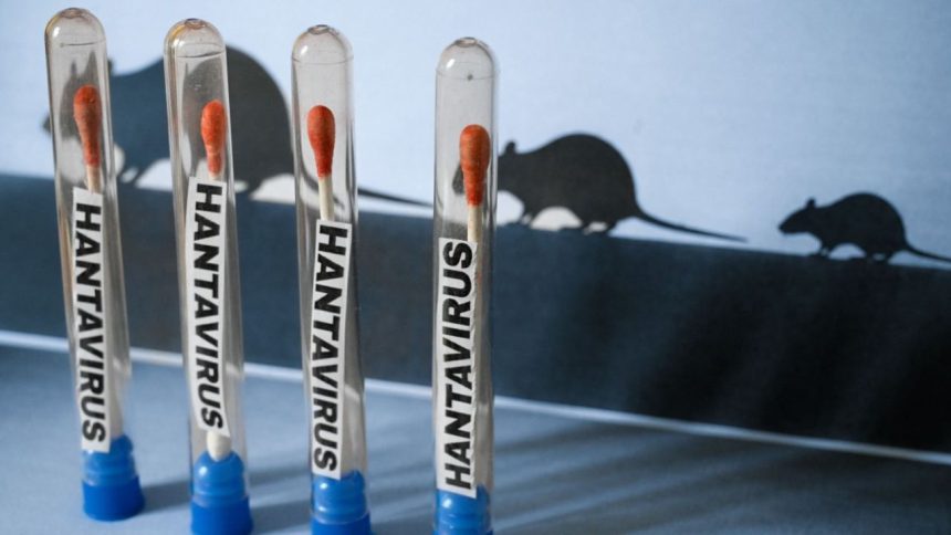 Hantavirus: Un virus conocido y distinto al COVID-19 1 Hantavirus
