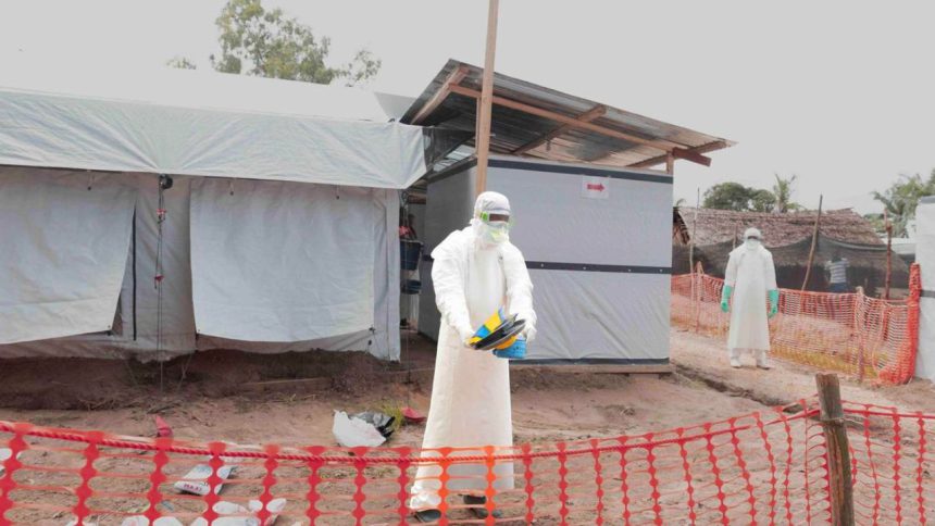 OMS reporta más de 900 casos de ébola en la RDC 1 casos de ébola