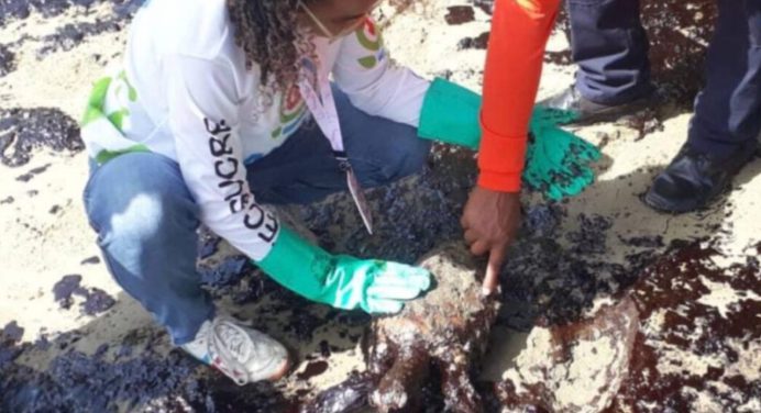 Emergencia ambiental: Monitoreo del derrame de crudo en el Golfo de Paria