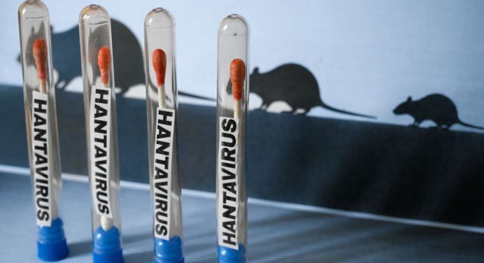 En minas Gerais: Primer fallecido por hantavirus en Brasil