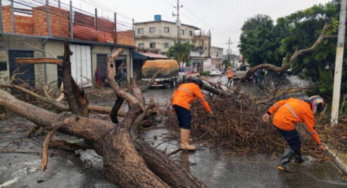 Plan de atención en Morán y Urdaneta, Lara tras intensas lluvias