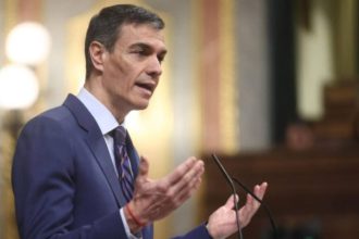 elecciones anticipadas