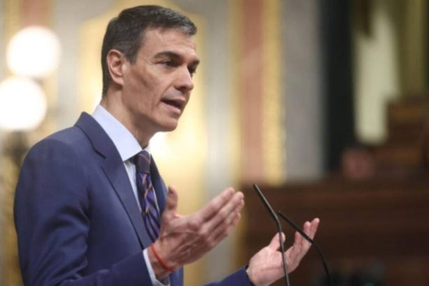 elecciones anticipadas