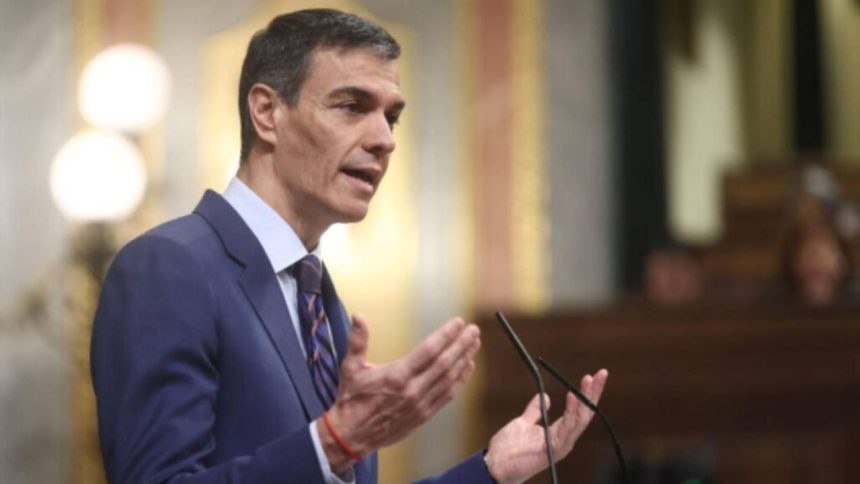 elecciones anticipadas