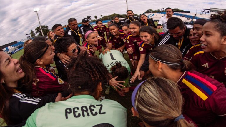 Vinotinto