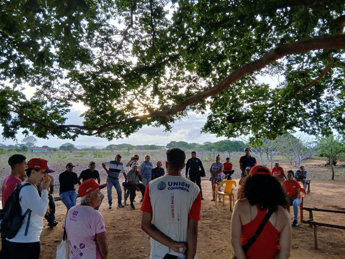 cedeno2