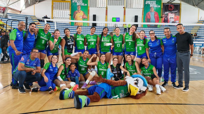 voleibol