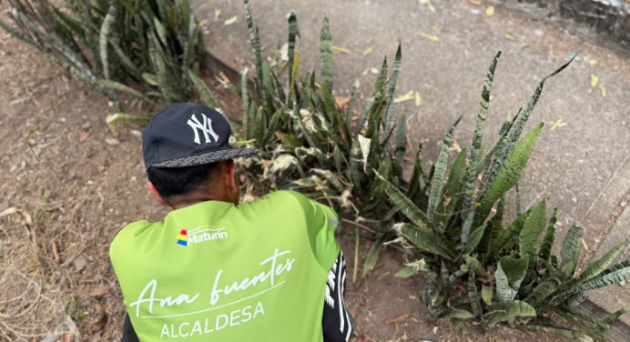 Alcaldía ejecuta labores de mantenimiento en el Parque Héroes de Ayacucho
