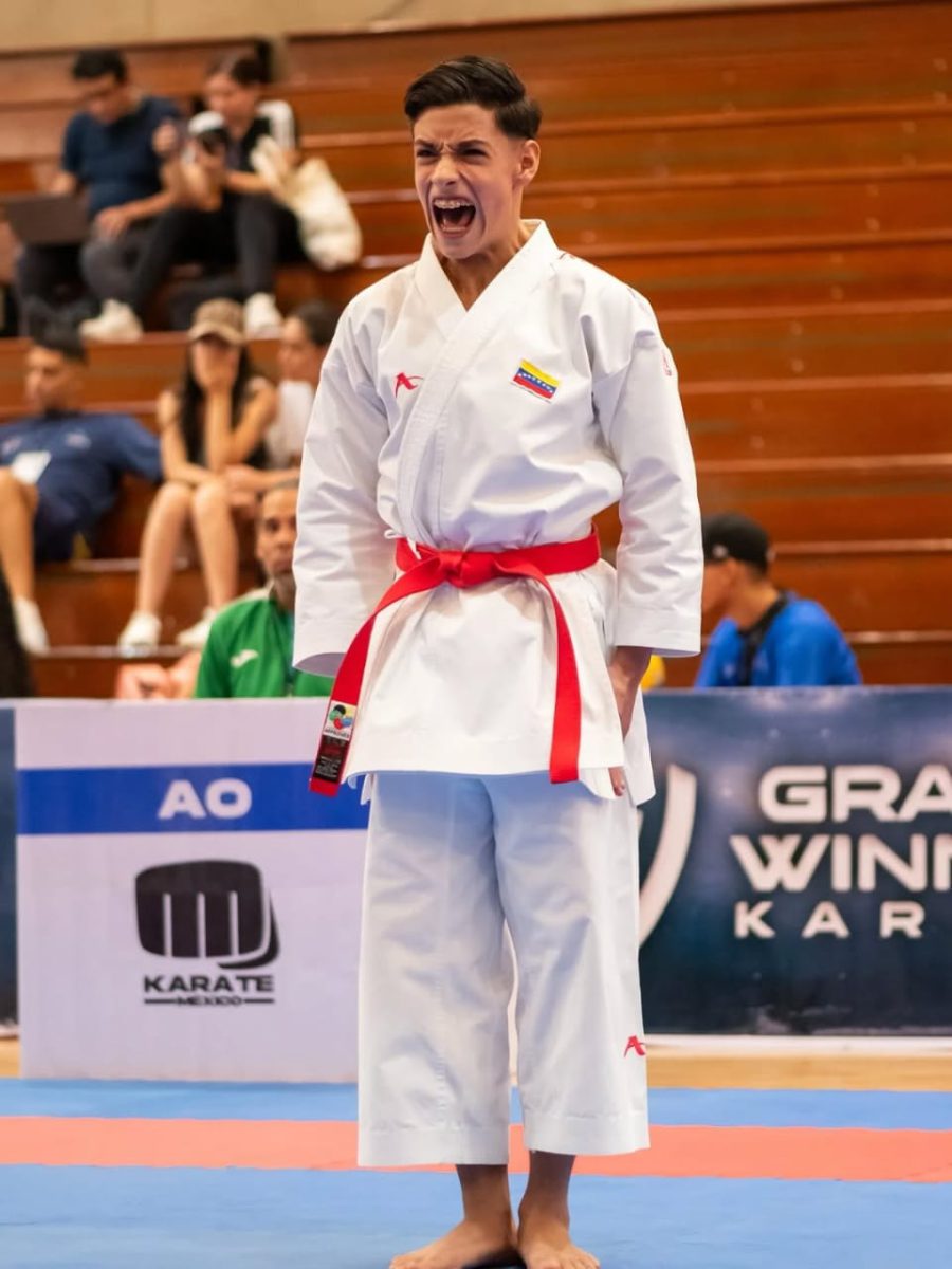 karate3