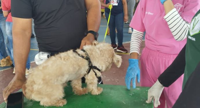 Celebran día de la familia con atención a mascotas en Fundemos