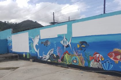 mercado Caripe