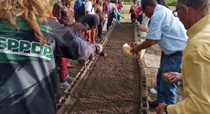 Certifican a 85 productores de Caripe y Acosta como Maestros cafeteros