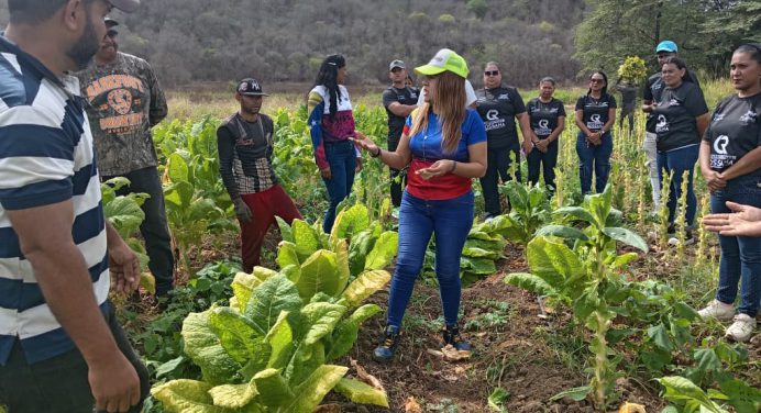 Impulsan primera ruta agroturística de Cedeño en la comuna “Riberas del Guarapiche”