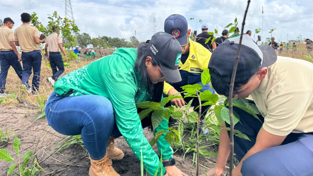 Plan Chuquisaca sembró Mil 500 araguaneyes en el municipio Maturín 2 siembra4