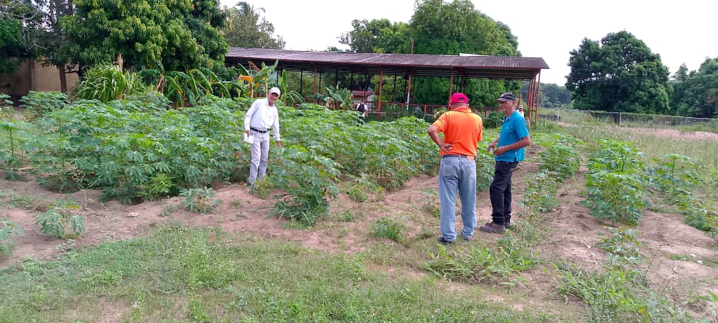 Realizan taller de lombricultura en la Casa de los Abuelos de Santa Bárbara 3 taller3