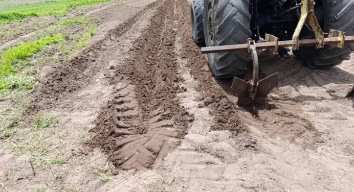 Agricultores de Zamora inician rastra y preparación de tierras para la siembra