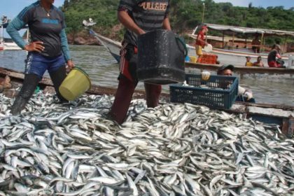 toneladas de pescado