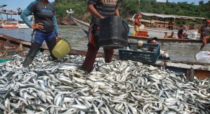 Nueva Esparta envía siete toneladas de pescado para los afectados por los sismos