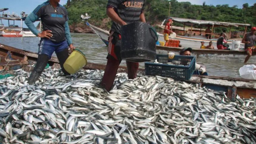 toneladas de pescado