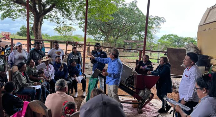 Productores de tres comunas de Aguasay inician siembra de maíz