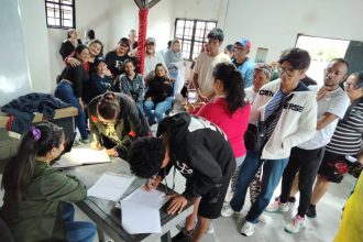 consulta