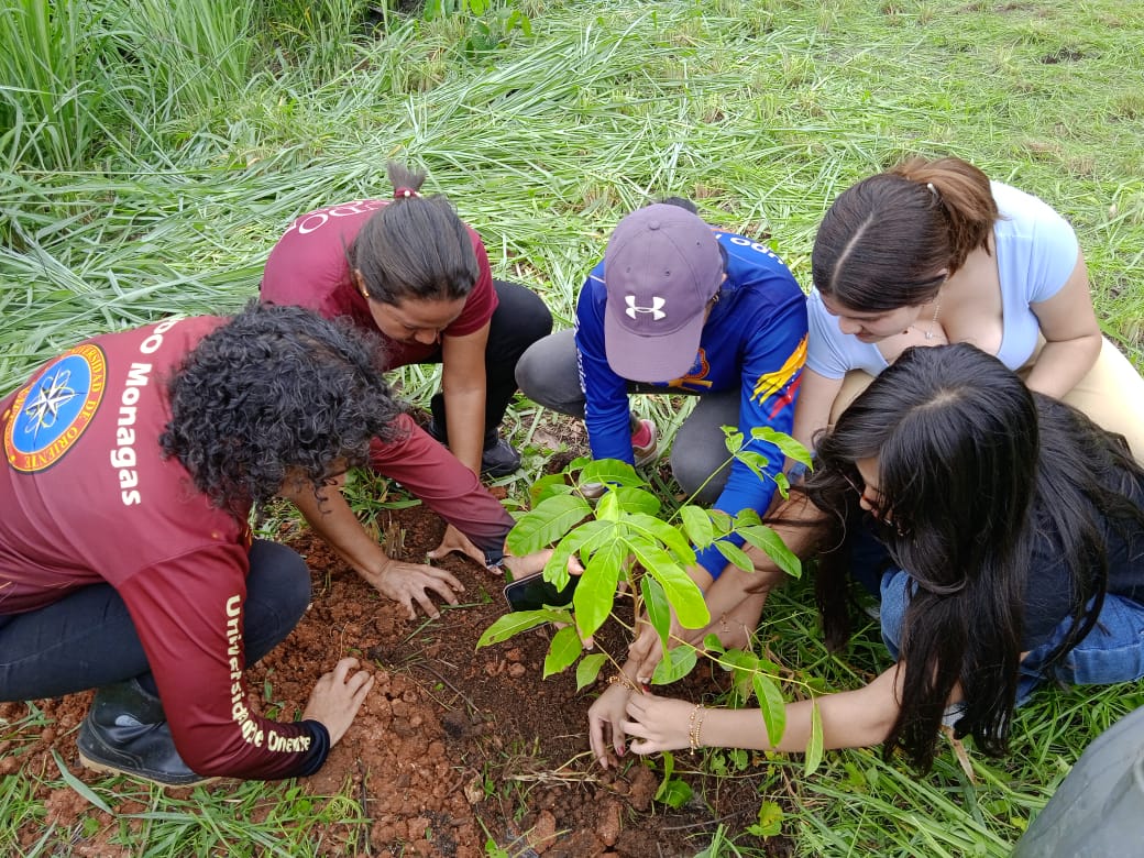 Gobernación impulsa sustentabilidad con jornada de arborización en la UDO 2 jornada