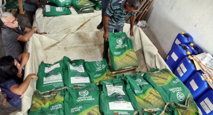 Productores de Paradero reciben sacos de semillas de maíz amarillo