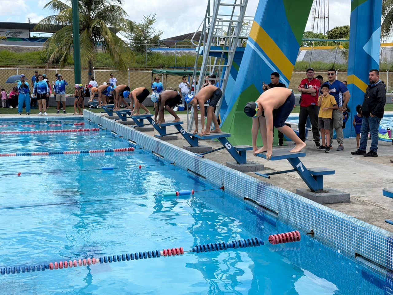 natación