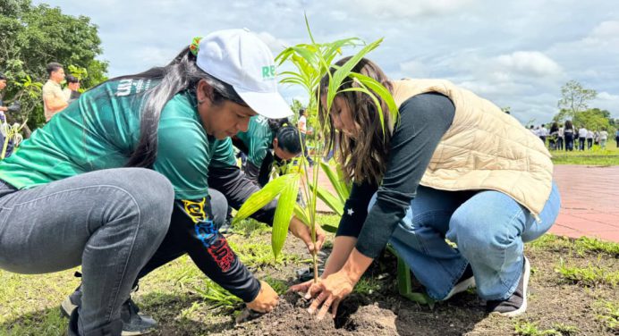 ​Maturín celebra el Día Mundial del Ambiente con la plantación de 600 árboles