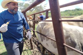 vacuna