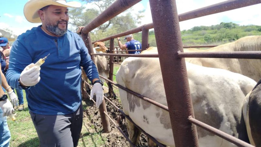 Distribuyen 3 mil vacunas contra la fiebre aftosa en el municipio Cedeño 1 vacuna