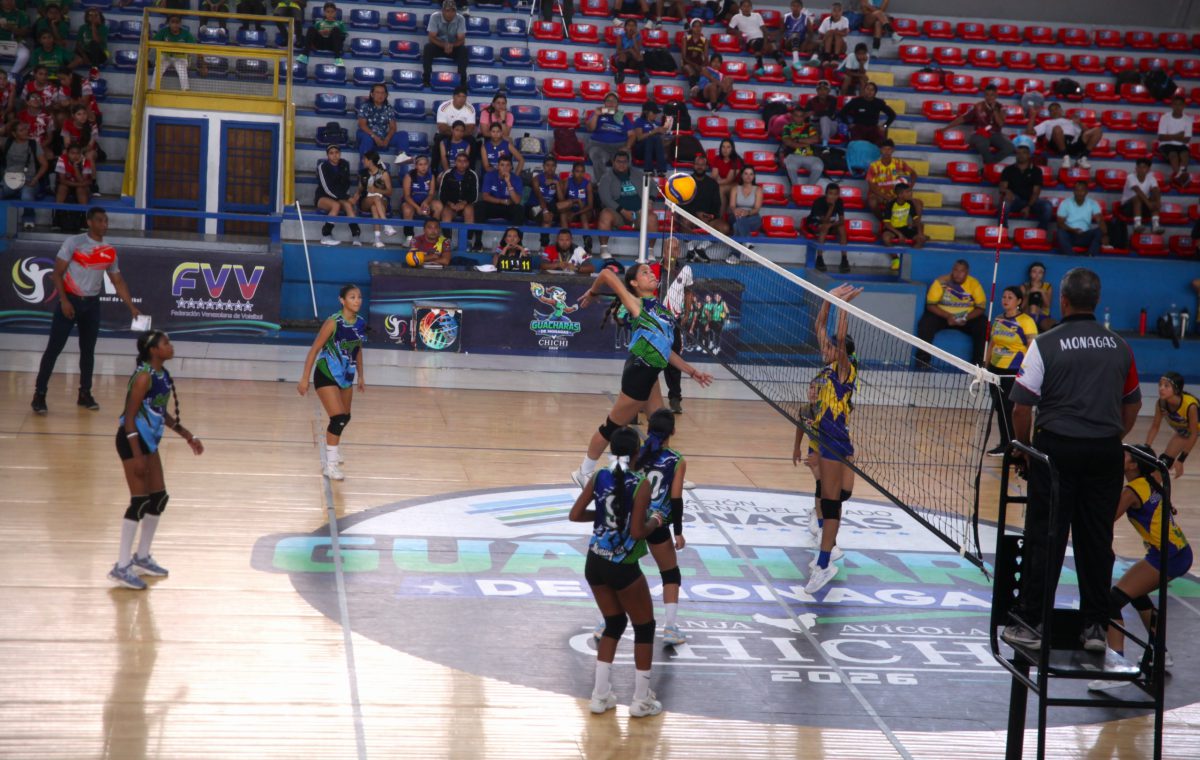 voleibol