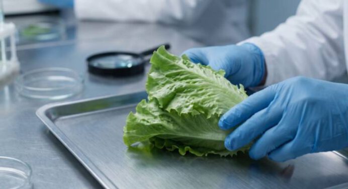 Brotes de ciclosporiasis en EE. UU.: Más de 4.100 casos confirmados